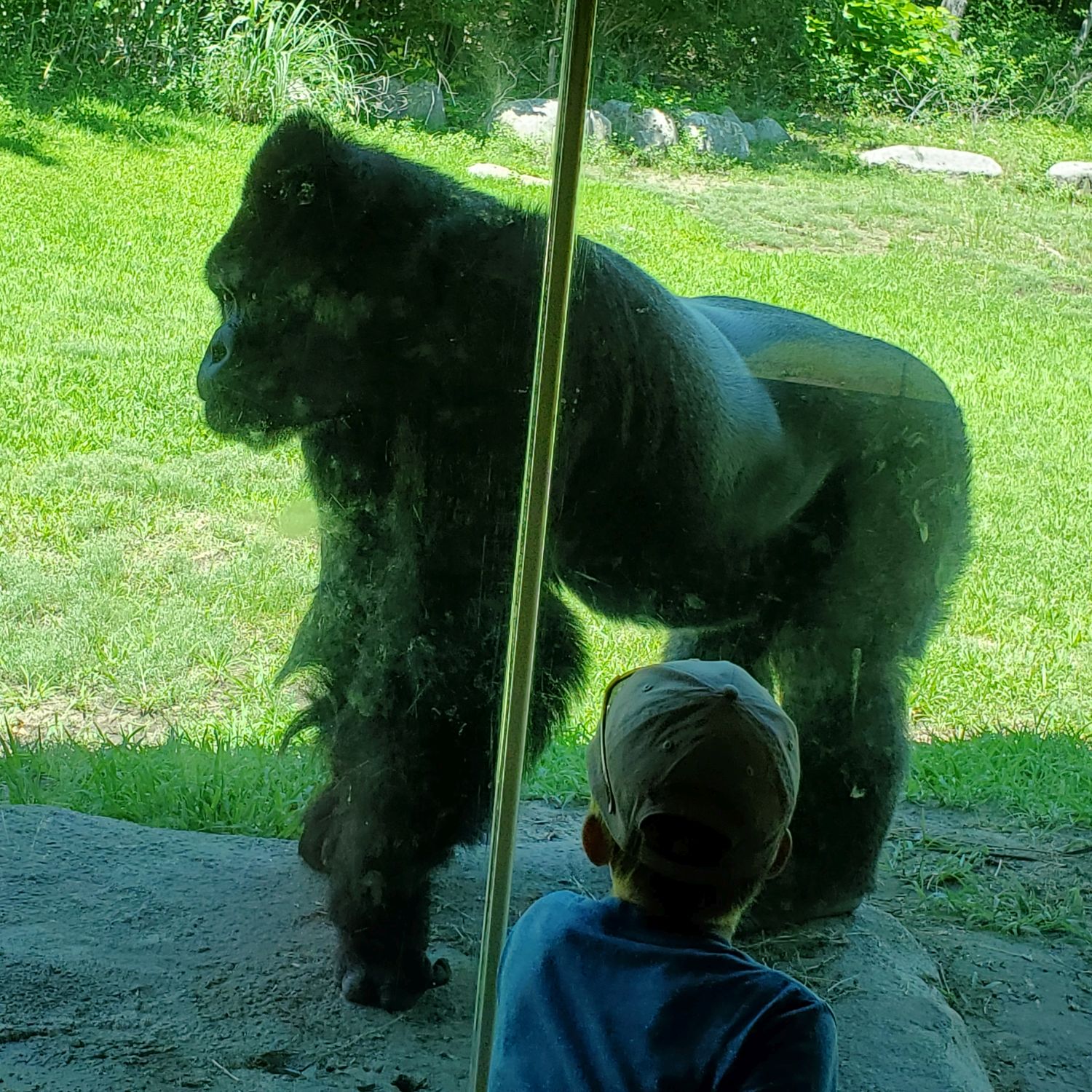 Sedgwick County Zoo 